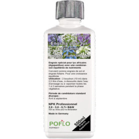 POFLO Engrais liquide professionnel NPK pour lys africains (Bot. Agapanthus) (500 ml)