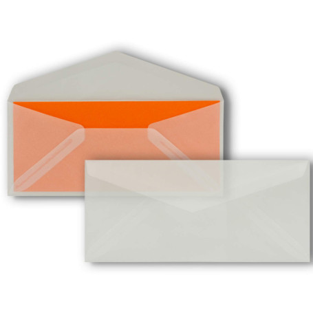 FarbenFroh de GUSTAV NEUSER 50 enveloppes à lettres transparentes, longueur DIN, 110 x 220 mm (11 x 22 cm), adhésif humide sans 