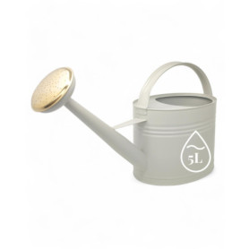 LIVLIG Arrosoir zinc 5 litres Arrosoir de jardin en métal Arrosoir pour intérieur et extérieur Arrosoir vintage avec bec amovibl