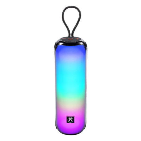 MusicMan Enceinte Bluetooth Portable avec lumières Disco RVB, Radio FM, Lecture USB et MicroSD, Batterie 1800 mAh, Microphone in