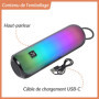MusicMan Enceinte Bluetooth Portable avec lumières Disco RVB, Radio FM, Lecture USB et MicroSD, Batterie 1800 mAh, Microphone in