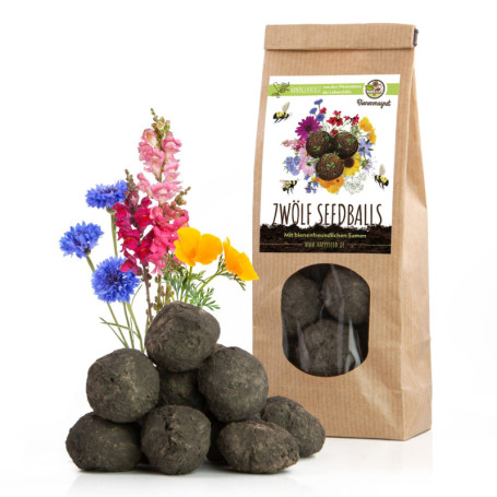 12x Bombes de graines pour un pâturage coloré pour les abeilles - Graines de fleurs sauvages colorées & riches en nectar pour le