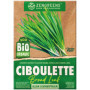 ZenGreens® – Graines de ciboulette bio - Graines d'herbes aromatiques à cultiver facilement au jardin, sur le balcon ou en cuisi