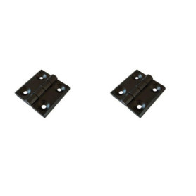 Lot de 2 charnières en métal 50 x 50 mm - Noir - Pour jardin, bateau ou construction mécanique