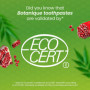 Ecocert Cosmos Natural certifié Himalaya Botanique Dentifrice Neem et Grenade aux Actifs Bio, combat la plaque dentaire, éclairc