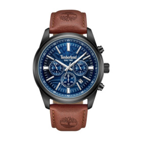 Montre Homme Timberland TDWGF0041204