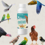 DADECARE Eggcare Calcium pour Oiseaux 1 l avec minéraux et vitamines – Œufs sains et coquilles résistantes – Fortifie Les os – C