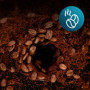 Cecotec Cafetières Filtre Coffee 66 Grind & Drop. 1086W, Moulin à Lames, Jusqu’à 12 Tasses, Technologie Extremearoma, Cafetière 