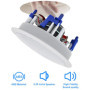 Herdio 5,25 Pouces Enceinte encastrable Plafond (8 ohms 300 Watts)
