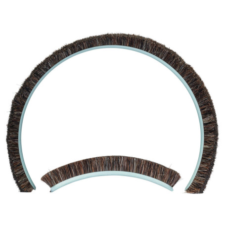 Bosch 1x PRO Replacement Brush (23 x 108 mm, Professional Accessoire Petite meuleuse angulaire)