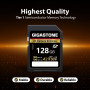 Gigastone A2 V90 Carte Mémoire SDXC 128 Go, 4K Caméra Extreme Série, Vitesse 160 Mo/s. Compatible avec Caméra Canon Nikon Sony P