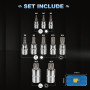 CPROSP Douille Torx Male 1/2'', 1/4'', 3/8'', Embout Torx 12 Pans M4 M5 M6 M8 M10 M12 M14 M16 M18, Douille Allen avec Boîte
