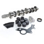 NSGMXT Kit d'arbre à cames compatible avec A3 8P A4 8E 8H B7 P0-lo Le-on Fa-bia 1.9 2.0 TDI BLS BMM BMP BMT 038109309A 038109309