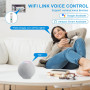 Behogan Interrupteur intelligent WiFi 1P+N - Disjoncteur de puissance intelligent - Télécommande - Commande vocale - Relais Wi-F