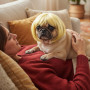 Cobee Perruque amusante pour chien et chat - Réglable - Costume amusant pour animal de compagnie - Pour chiens de petite, moyenn