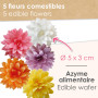 ScrapCooking - 5 Dahlias Assortis en Azyme - Fleurs Comestibles Décoration Gâteau - Déco Alimentaire Pièce-Montée, Cupcakes, Pât