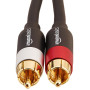 AmazonBasics 1/2-Male to 2-Male RCA Audio interconnects - 4 Feet, 2-Male to 2-Male