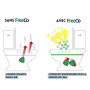 Freeco Anti-Odeur WC (Before You Go) - Spray aux Huiles Essentielles Naturelles. Idéal pour Maison, Bureau, Resto et Voyage. Pac