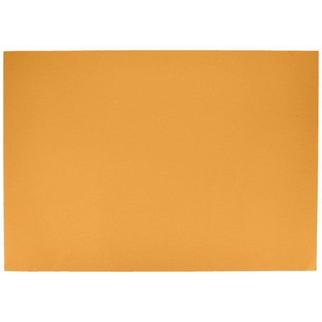 Papier Canson Colorline 70x100 cm - 25 Feuilles 220g Couleur Unie 69,40 €