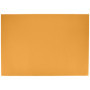 Papier Canson Colorline 70x100 cm - 25 Feuilles 220g Couleur Unie 69,40 €