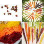 Graines de Carotte Benoon - 500pcs, Sans OGM, Mélange Coloré 6,40 €