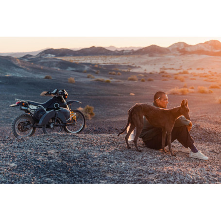 Black Dog - Film Blu-ray avec Sous-titres Français 22,83 €