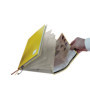 Porte-documents A4 Plus Transparent TimeTEX - Trieur à Soufflets pour Agenda Scolaire