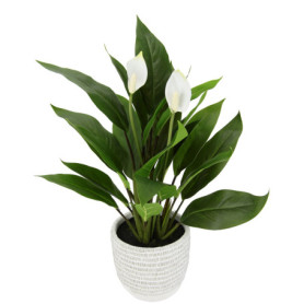 Plante Artificielle Spathiphyllum en Pot - Fleur Exotique Calla Rose