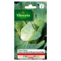 Chou Blanc Cœur de Bœuf Vilmorin - Semences Rustiques pour Récoltes Printanières