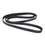 Courroie trapézoïdale à nervures ContiTech 6PK2205