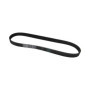 Courroie Trapézoïdale à Nervures ContiTech 6PK875 pour Voiture
