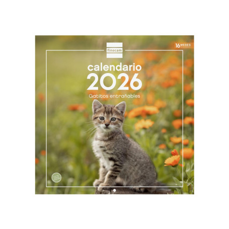Calendrier Mural 2026 Finocam - Petits Chats, 30 x 30 cm