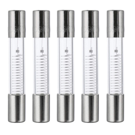 Fusibles de Protection Haute Tension 650mA - Pack de 5 Movilideas 6,17 €