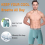 Nuofengkudu Hommes sans Couture Modal Long Boxer Doux Flex Respirant Stretch Ceinture Calecons Grande Taille Anti Irritations so