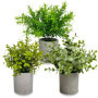 Lot de 3 Plantes Artificielles en Pot - Eucalyptus et Romarin - Décoration Intérieure et Extérieure
