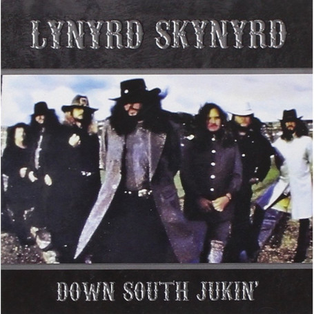 Concert Live Lynyrd Skynyrd - Lakewood Amphitheater 1994