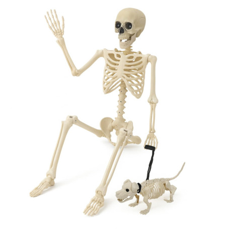 Squelette Halloween 160 cm avec Chien et Laisse - Décoration Effrayante