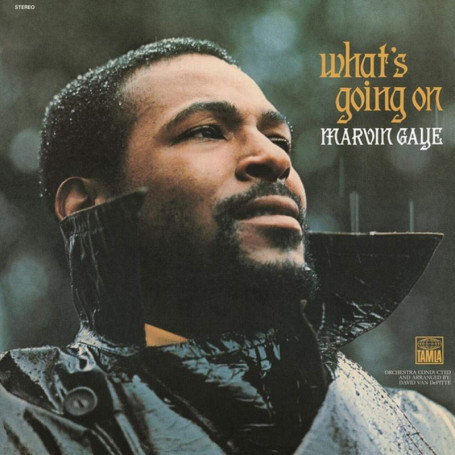 Marvin Gaye - What's Going On (Vinyle Collector)
