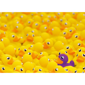 Ravensburger Puzzle Canard de Bain 1000 pièces - Défi Amusant