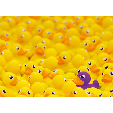 Ravensburger Puzzle Canard de Bain 1000 pièces - Défi Amusant
