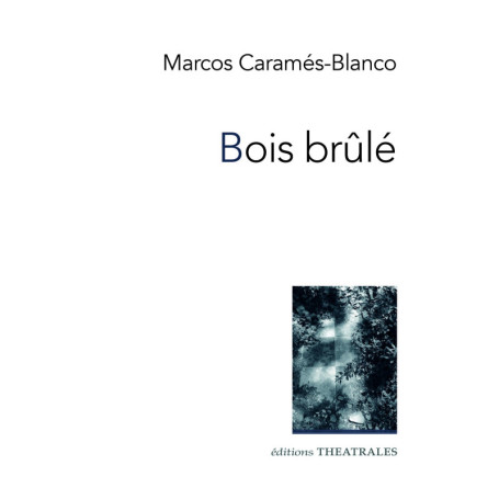 Bois Brûlé - Roman Émotionnel en Français