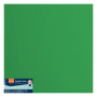 Papier Cartonné Florence Vert Holly - 20 Feuilles 30,5 x 30,5 cm