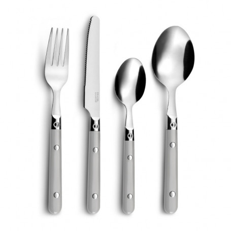Ensemble de Couverts Amefa Saxo 16 Pièces Métal Bicolore 6 Unités (25 cm) 22,99 €