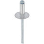 Rivets Aluminium Tête Large Restagraf - Boîte de 250 pour Audi et Renault