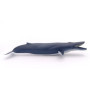 Figurine Baleine Bleue Papo - Jouet Éducatif pour Enfants dès 3 Ans