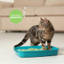 Litière Naturelle CattyGreen pour Chats - Sable au Soja Parfum Jasmin