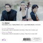 Trios avec Piano - Metral Trio en Concert
