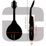 Étui Rigide Argent pour Mandoline A-Style - Crossrock
