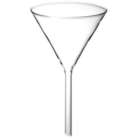 Entonnoir en Verre Transparent neoLab - Diamètre 100 mm
