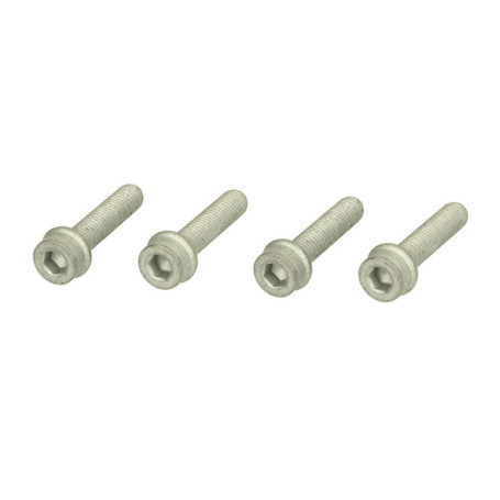 Kit de Vis pour Poulie Vilebrequin MS17 - ContiTech